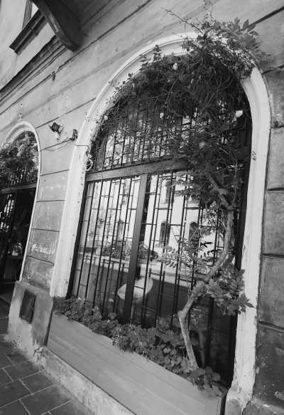 Polen - Kraków - Ultimate Budget City Break: Exploring Southern Poland in 4 Days - UNESCO Sites, Food Tour, and Cable car ride in the Tatras! - 2