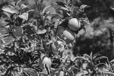 Southern Europe - Estepona - Getaway in Costa del Sol, Spain: Your Dream Vacation Awaits - 3