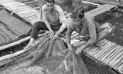 Thailand - Laem Sak - Unplug in Thailand's Paradise: Devices Less and More Human Interactions☺️❣️with Volunteering, Muay Thai, Diving and Many More (with Private room) - 2