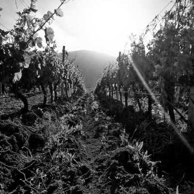 Italy - San Teodoro - Discover Sardinia's best beaches, caves and local food ☀️ - 2