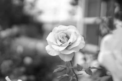 Bulgarien - Kazanluk - Bulgaria - Diamond of the Eastern Europe! Female-only trip