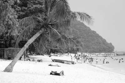 Thailand - Phuket Island - Your Vegan Thailand Adventure - Tofu, Tuk Tuks & Temples 🍃 - 1