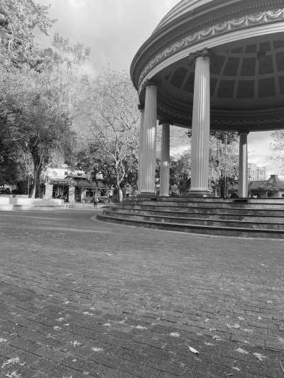 Costa Rica - San José - Costa Rica: Cloud forest, North Pacific, Walk Among Treetops and Enjoy a the Most Beautiful Sunsets (Private Rooms)