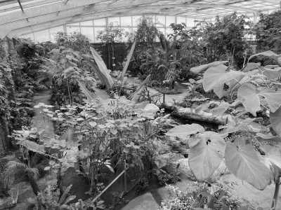 Spanien - Benalmádena - Finding your true self through travelling, yoga and meeting like-minded souls in beautiful and always sunny Mijas Costa, Spain - 4