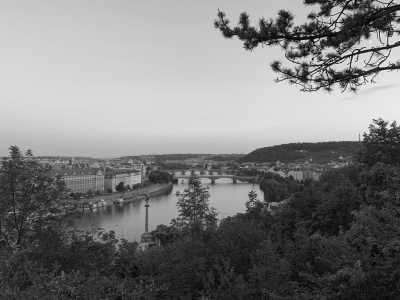 Czechia - Prague - Welcome to the Wild Experience With A Local: The Prague Hidden Gems Walking Tour 3 Days - 8