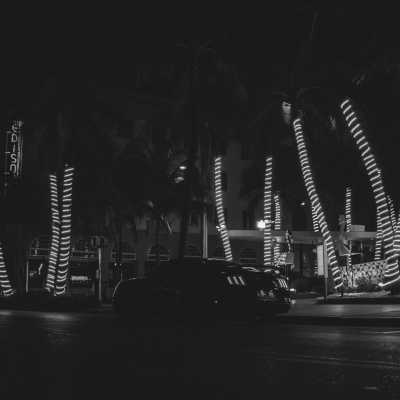 United States - South Beach - HomeOffice in South Florida USA with a local Miami and Fort Lauderdale Trip: Gorgeous Beaches, Delicious food, Vibrant Nightlife, and More! - 3