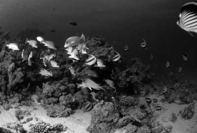 Ägypten - Hurghada - Kitesurfen und Sehenswürdigkeiten Ägyptens entdecken - 2