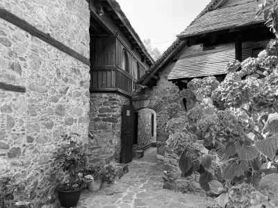 Cyprus - Nicosia - Cyprus Social and Political Expedition - Nicosia and Larnaca