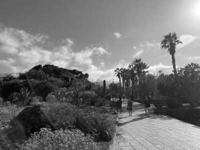 Spain - Puerto de la Cruz - Carnaval & More 🥁🌴  Let's enjoy Tenerife's nature, mountains and beaches during the day, and party at the biggest Carnaval of Europe on various evenings 💃🏽 - 2