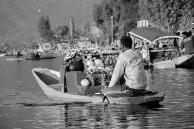  - Srinagar - A Vibrant Journey Through "India" Kashmir's Floral Wonderland - 3