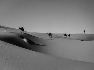 Marokko - Mhamid - 7 Day Sahara Desert (camel) Trek Morocco | Travel like a desert NOMAD 🐪🐪