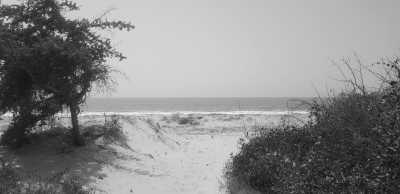 Gambia, The - Mr. B's adventure camp on paradise island - Abenteuerreise nach Paradise Island in Afrika - Gambia (Guided Trip) 😊 - 2