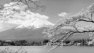 Japan - Tokyo - 🇯🇵 Tokyo, Nagoya, Kyoto: Hitachi Seaside Park, Tokyo Hidden Gems, Enchanted Mt Fuji, River Rafting and More! - 5