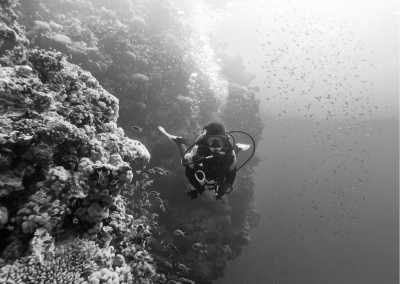 Indonesia - Diving in North East Coast Bali for Beginner plus International Certificate Bonus - JoinMyTrip