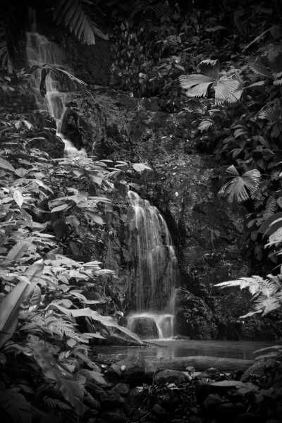 Costa Rica - Bribri - Costa Rica Herpetology Adventure: Crocodiles and Poison Dart Frogs Expedition