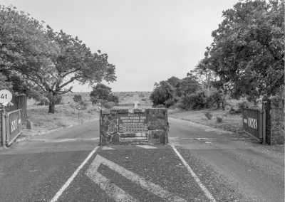 South Africa - Malelane Gate @ Kruger National Park - African Wildlife Weekend Getaway: Embark on an Unforgettable Safari Experience