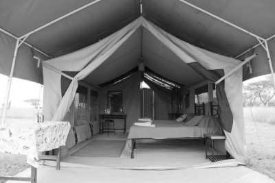 Tansania - Serengeti National Park - Tanzania Safari - Single Private room (1pax) - 1