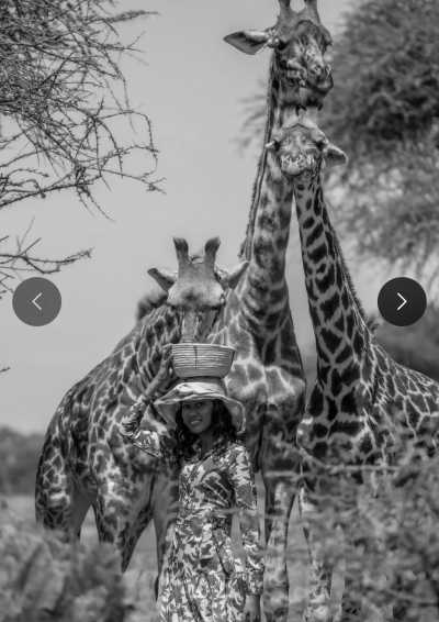 Tansania - Nyabogati - Serengeti Dreams: An Unforgettable Safari with Hot Air Balloon Magic - 5