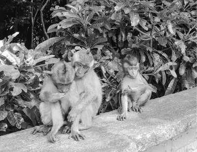 Indonesia - Swasti Eco Cottages - Bali Yoga Retreat - The Island of the Gods - 6