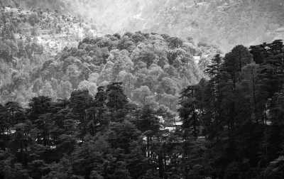 Indien - Shimla - The "Himalayan" Adventure-Retreat Mix! - 1