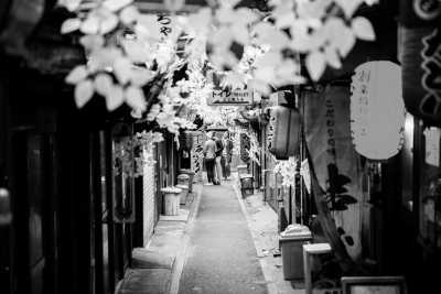 Japan - Tokyo - Discover Japan: Mount Fuji, Samurai Experience, Matcha making and more!