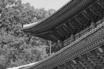 Korea, South - Seoul - 🇰🇷 South Korea Trip: A Cultural and Natural Odyssey Tour! Hiking, Paragliding and MORE! - 12