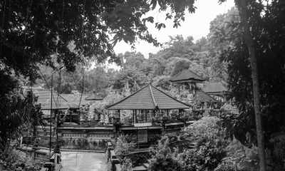 Indonesien - Ubud - Discover Bali Like a Local: Authentic Travel Experiences Await - 4