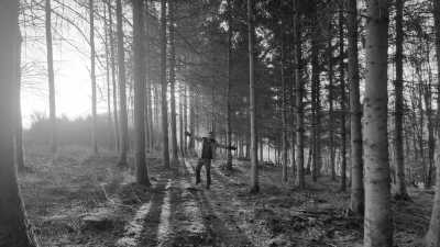 Belgium - Ochamps - Hike, Survive and Reflect in the Belgian Ardens: Lesse - 1