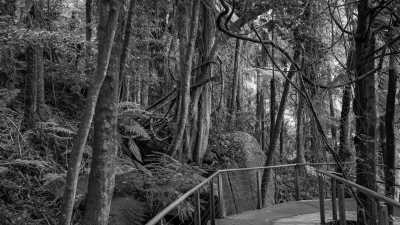 Australia - Blue Mountains - Ultimate 6-Day Sydney Adventure: Explore Iconic Sights, Boat Tours, Mountain Ranges, Beach Walks, and Culinary Delights in Australia - 3