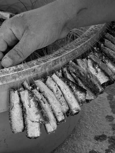 Greece - Άγιος Νικόλαος - Ultimate Zen on the hidden Anafi, Greek island: One of Greece's best kept secrets (Private Room-Single) - 2