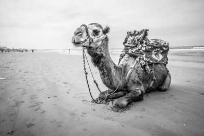 Morocco - Agadir - Moroccan Atlantic Coast and Kitesurfing Course - 2