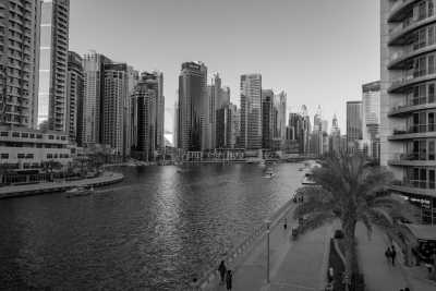 United Arab Emirates - Jumeirah Beach - CoWorking in Dubai with a local! + Evenings at the Beach 💻 - 10