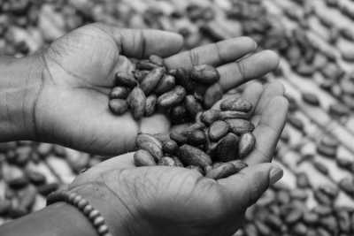 Ghana - MI-COCOA LTD (Ohene Cocoa) - Refresh your mind and body with Yoga and Nature - Cocoa Farm visit and Waves in Ghana! - 1