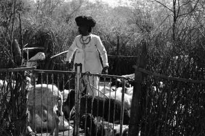 Indien - Jawai Bandh - Heritage and Rural Cultural Experience of Rajasthan, India - 4