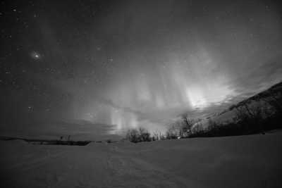 Norway - Alta - Norway Northern Lights: Dancing Auroras & Ancient Culture - 1