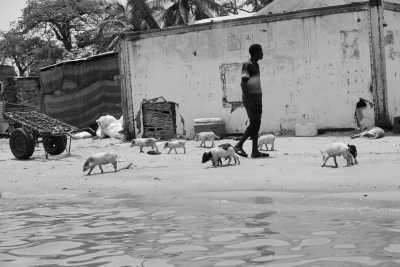 Senegal - Kachiouane - Sailing Adventure in the Casamance of Senegal - 7