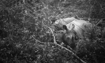 Nepal - Into the Wild Heart of Nepal - JoinMyTrip