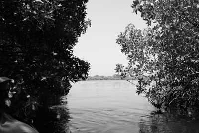 Senegal - Pointe-Saint-Georges - Sailing Adventure in the Casamance of Senegal - 5