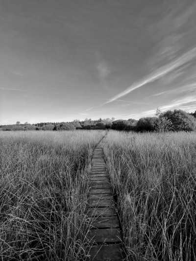 Germany - Monschau - Hiking in the Eifel region - One of Germany's best kept secrets! - 5