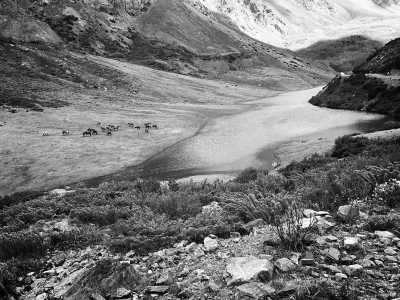 Kyrgyzstan - Karakol - Natur pur in Kirgistan - 2