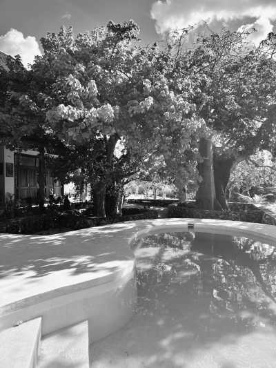 Tanzania - Jambiani - Zanzibar Coworking Experience: Your Journey Starts Here - 6