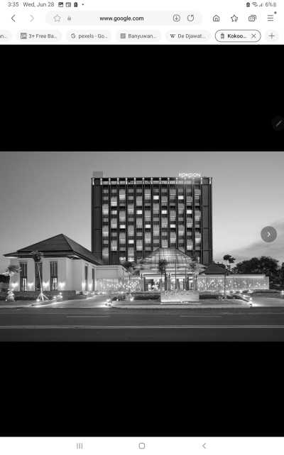 Indonesia - Banyuwangi Park - Travel to Banyuwangi, Indonesia with a Local - 6