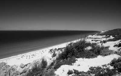 Portugal - Melides - Escape to Melides, Portugal: Nature, Relaxation, and Coworking Await! - 1