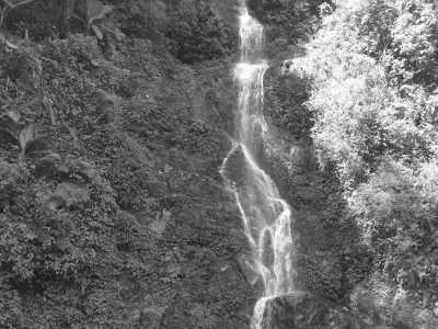 India - Pelling - Amazing India - Eastern Delight in Darjeeling and surroundings❗ - 3