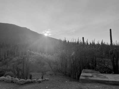 Mexico - Helia Bravo Hollis Botanical Garden - DAY OF THE DEAD AT OAXACA - 6