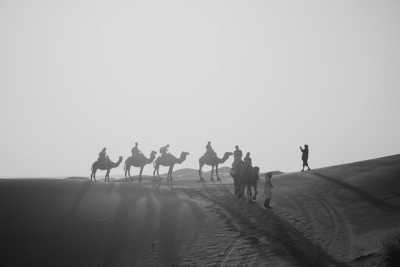 Marokko - Wintery Morocco in 12 days in a small group of 4 🐪👩🏻‍🦰 An adventure road trip to beautiful oasis 🏝️ and desert, historical cities, UNESCO site Ait Benhaddou🌇 and the Atlas Mountains🏔️  (December 2023) - JoinMyTrip