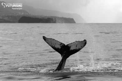 Portugal - Ponta Delgada - São Miguel Active Experience - 1