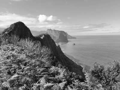 Portugal - Vereda do Larano - Hikes, local food, swimming with dolphins 🌅 The Ultimate Adventure in Madeira, Portugal🏄‍♂️ - 2