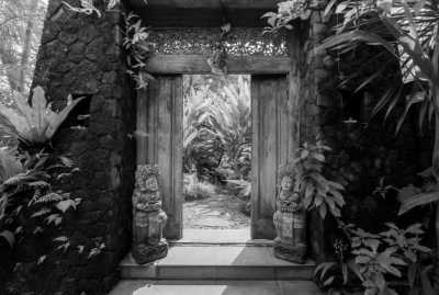 Indonesia - Ubud - Paradise Escape - CoWorking in Bali Ubud, Indonesia - 6