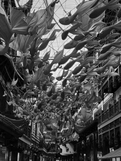 China - Shanghai - The Ultimate China Experience: The Great Wall to the Bund Adventure (Beijing, Xi'an & Shanghai) 🇨🇳 - 3